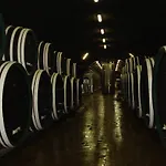 Hotel N - Klid, Atmosféra A Zážitek